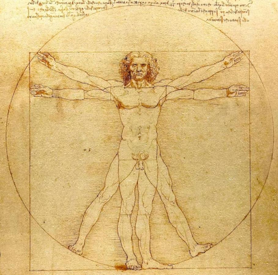 Da Vinci - Charmant Et Relax Amboise Luaran gambar