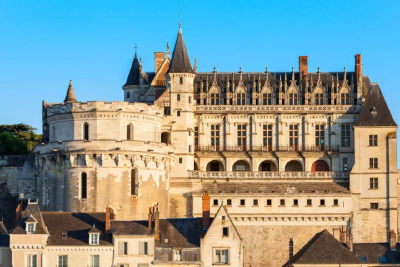 Da Vinci - Charmant Et Relax Amboise Luaran gambar